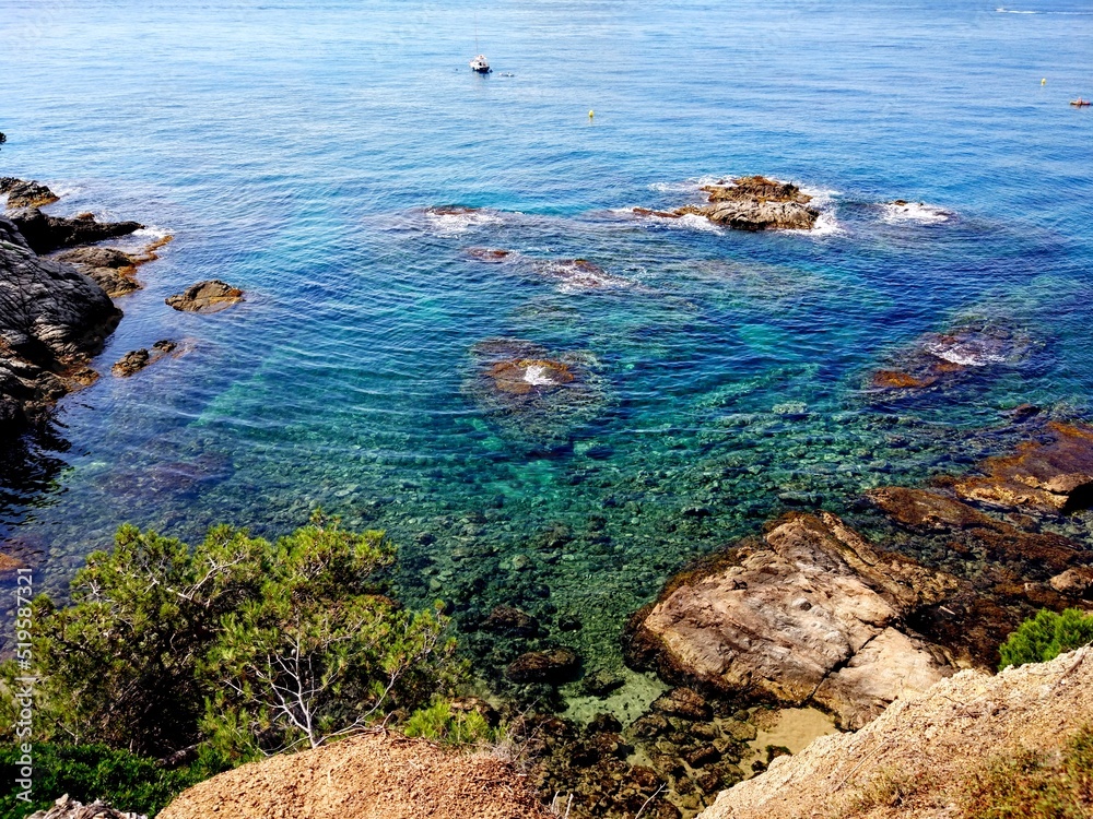 The rocky coast of the island of Mallorca, trees, are washed by turquoise clear water. Shades of the summer sea, stones, seabed. Landscape, background, postcard, wallpapers
