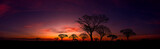 Beautiful african red and orange sunset with silhouettes of acacia trees and sun setting on the horizon in the Serengeti Park plains, Tanzania, Africa.Wild safari landscape.