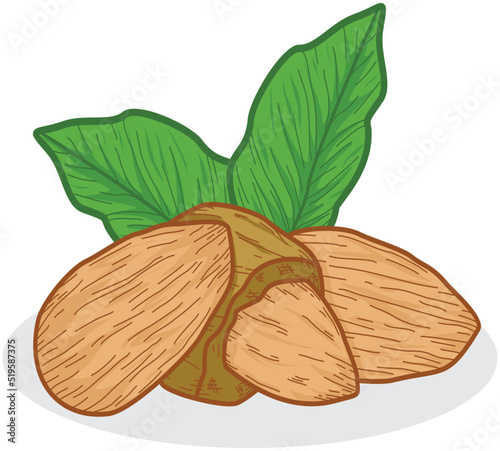almonds with leaves