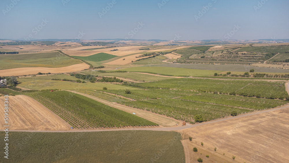 View of a grain field and fields of various vegetation near Kyjov, South Moravia, Czech republic. Scenery of agricultural fields. Agricultural productivity