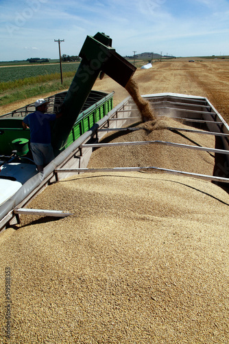 combine harvester working on wheat field