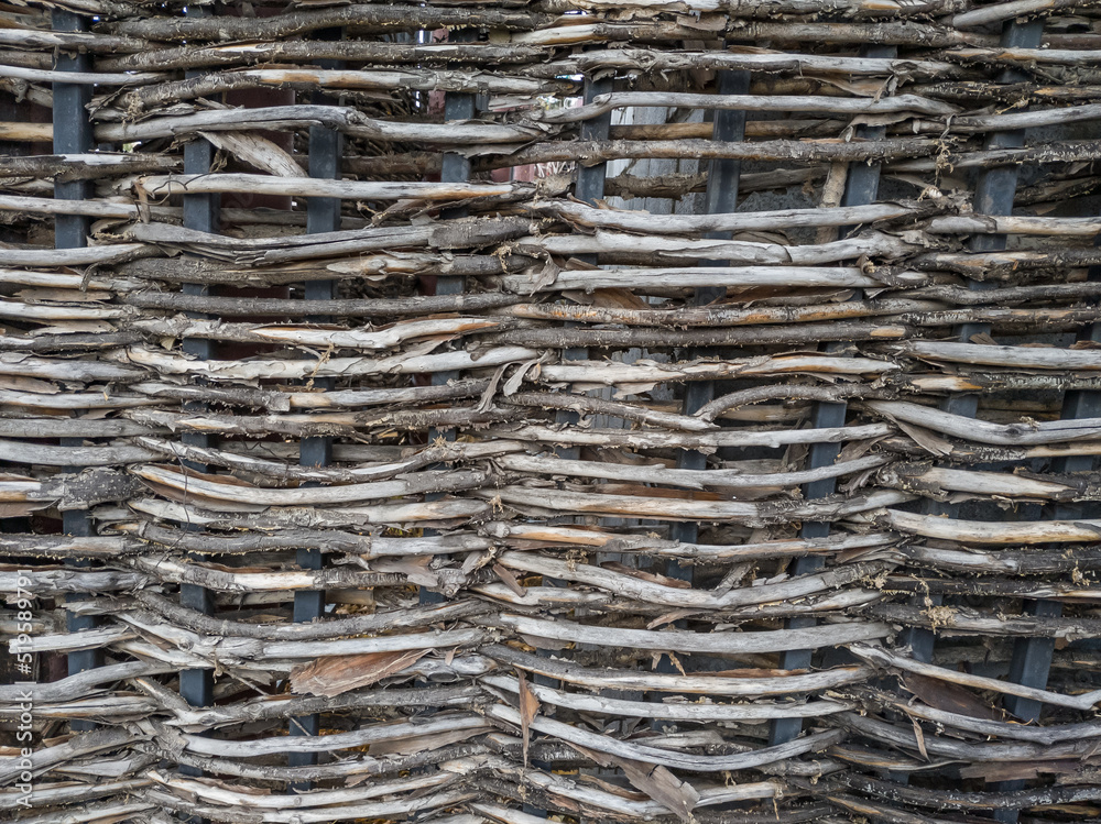 a fence made of intertwined birch branches a fence made of intertwined birch branches