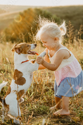 A little girl walks with a dog in the field at sunset.