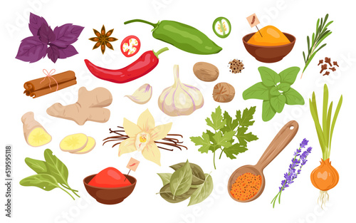 Spices, herbs and seeds set for cooking food vector illustration. Cartoon isolated fresh and dry seasoning collection with cinnamon pepper basil ginger garlic parsley turmeric vanilla anise bay leaf