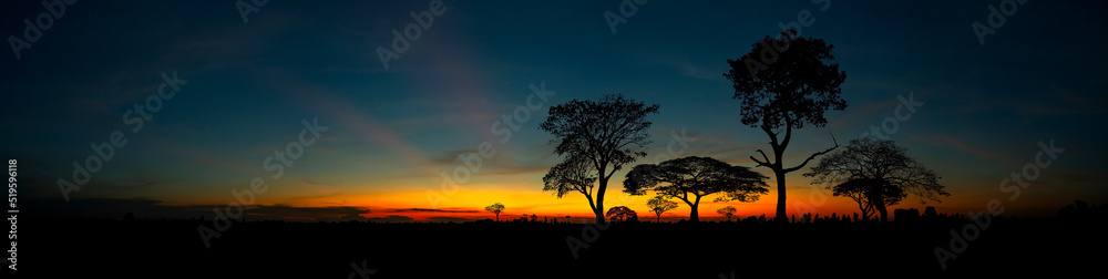 Beautiful african red and orange sunset with silhouettes of acacia trees and sun setting on the horizon in the Serengeti Park plains, Tanzania, Africa.Wild safari landscape.