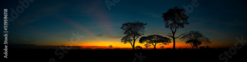 Beautiful african red and orange sunset with silhouettes of acacia trees and sun setting on the horizon in the Serengeti Park plains, Tanzania, Africa.Wild safari landscape. © noon@photo