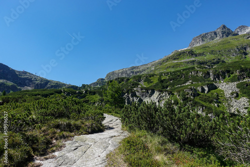 Alpenwanderung, Weißsee, Salzburgerland