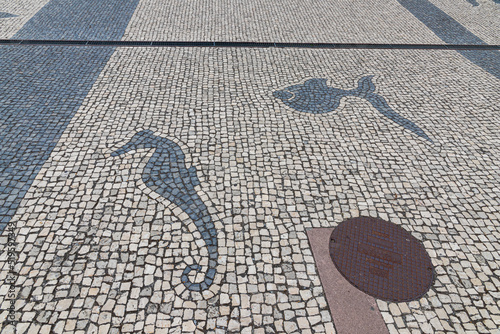 Costa Nova do Prado, Portugal. A fish and a seahorse in a mosaic in the floor of the street photo
