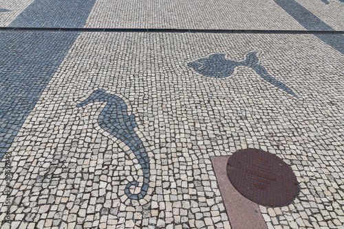 Costa Nova do Prado, Portugal. A fish and a seahorse in a mosaic in the floor of the street