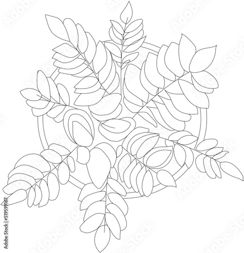 Top view potted plant. Vector house plant illustration. 