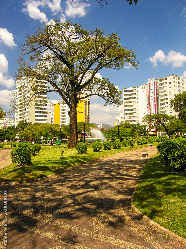 Trees, blue sky and beautiful residential and commercial buildings. Central panorama of the city of Belo Horizonte. Raul Soares Square.