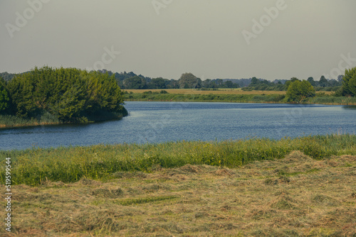 hay field near Lielupe river in Latvia photo