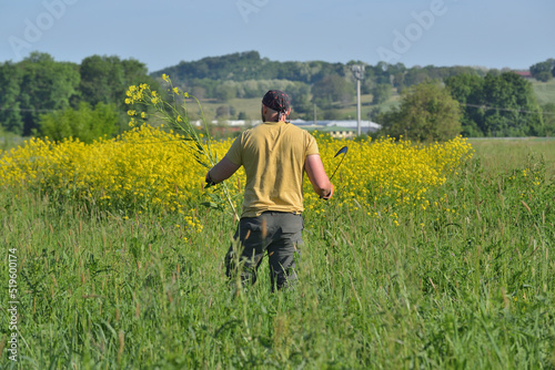 Orientalisches Zackenschötchen bekämpfen