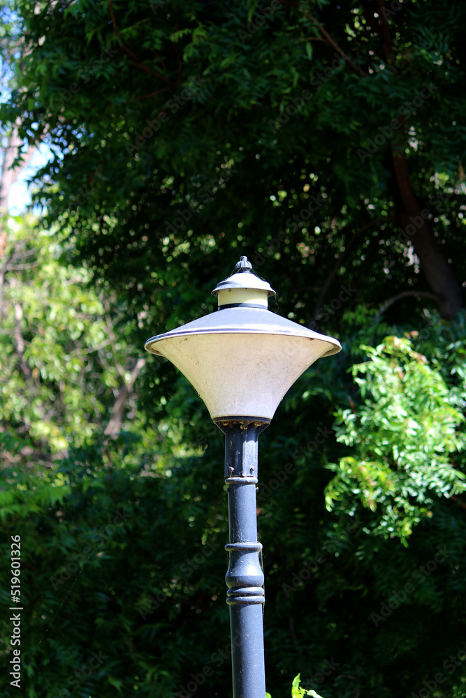 A lamp post in the garden
