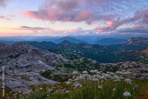 hübsche Berglandschaft mit Blumen und nackten kalkfelsen bei bleauer Stunde gesehen von derSimony Hütte in den Dachsteiner Alpen, Österrreich