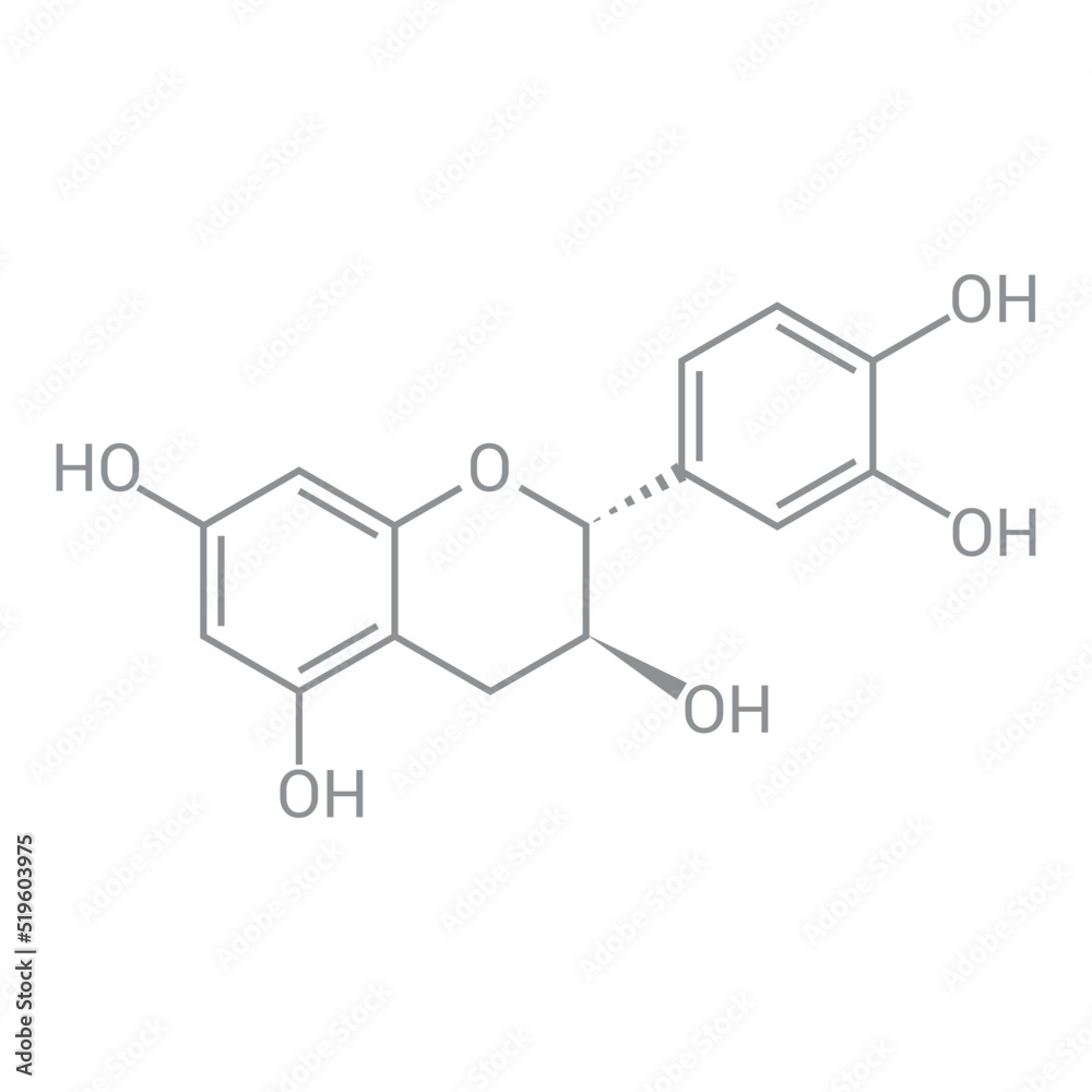 Fototapeta premium chemical structure of Catechin (C15H14O6)