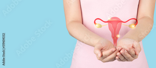 Fotografiet Healthy uterus and ovaries anatomy on female hands