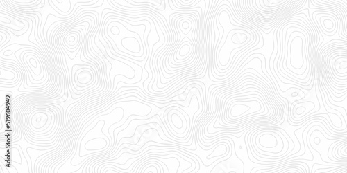 Topographic map lines  contour background  Vector contour topographic map background. Topography and geography map grid abstract backdrop  Luxury black abstract line art.