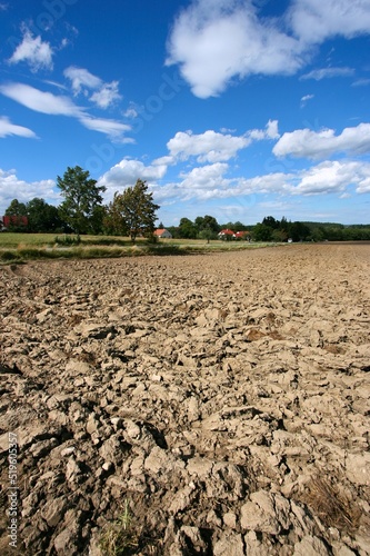 Plowed field in summer