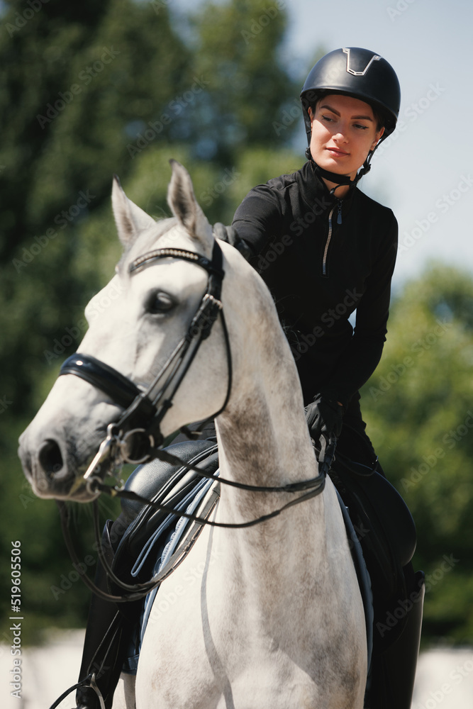 Obraz premium Equestrian sport. Portrait of young woman, female rider training at riding arena in summer day, outdoors. Dressage of horses. Horseback riding