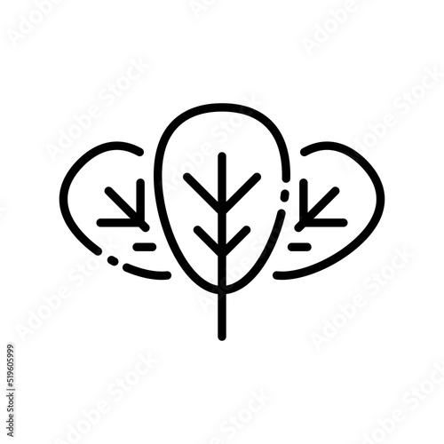 Spinach leaves icon vector illustration in outline style. Vegetable sign