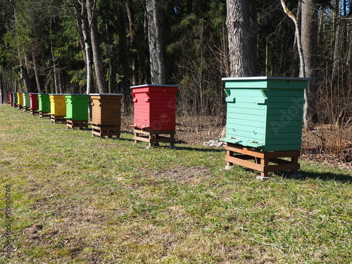 Beehives in a field in Poczopek