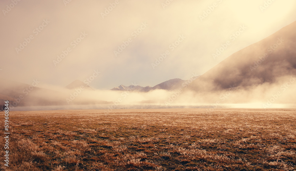 New Zealand Landscape