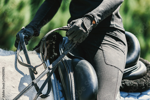 Cropped image of female rider, horsewoman sitting in saddle. Dressage of horses. Horseback riding. Concept of sport, grace, ad, active lifestyle