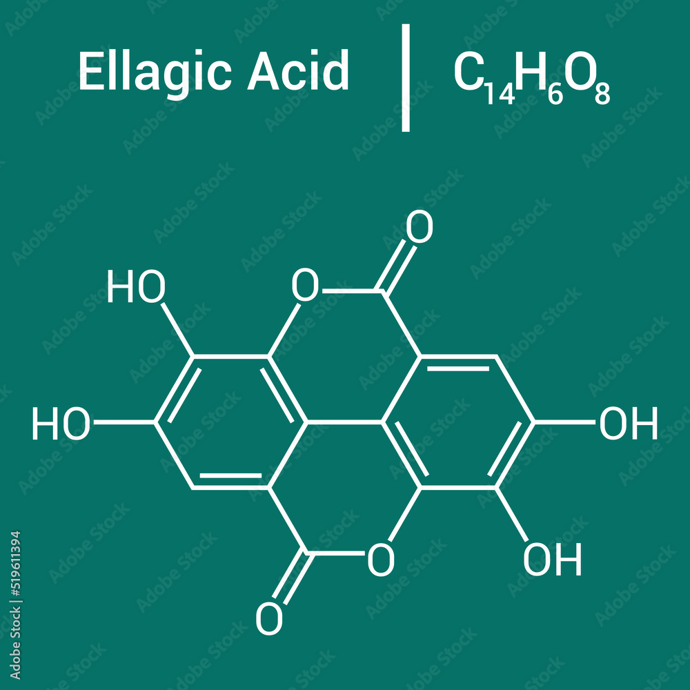chemical structure of Ellagic acid (C14H6O8) Stock Vector Adobe Stock