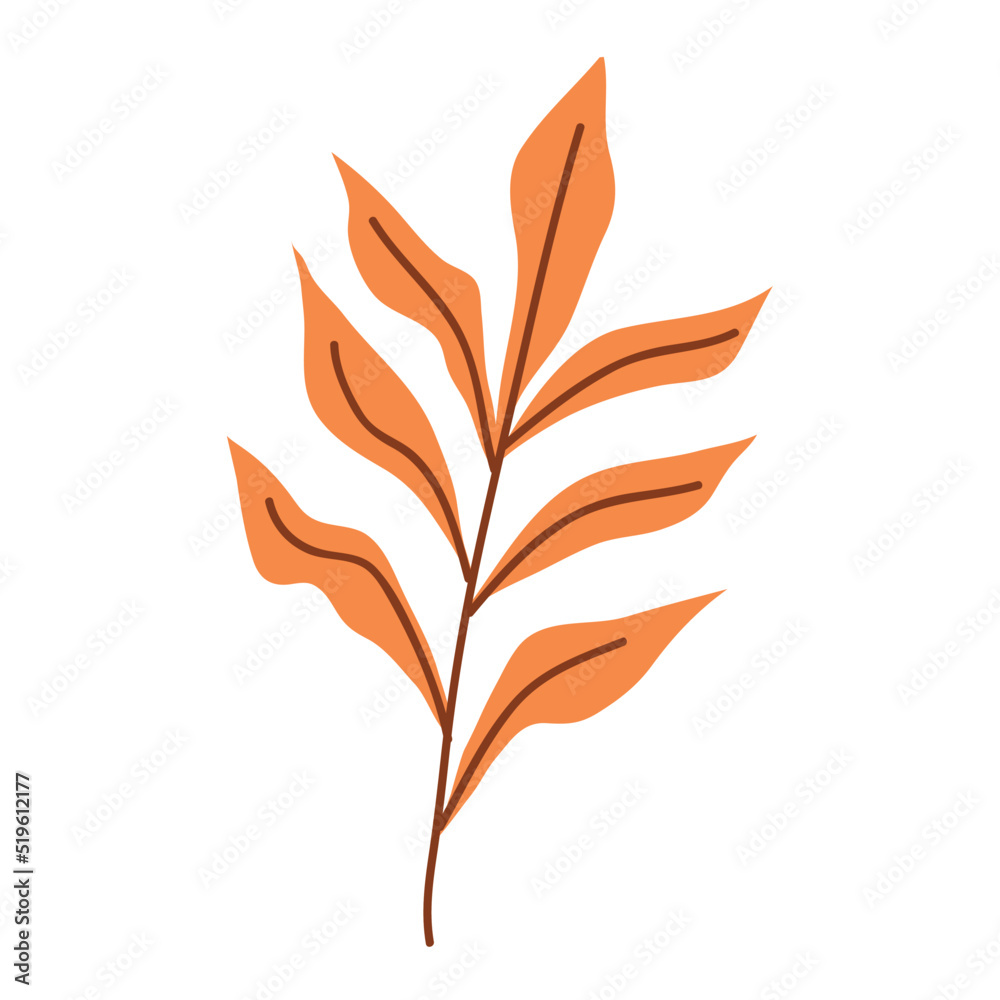 orange branch autumn foliage orange branch autumn foliage