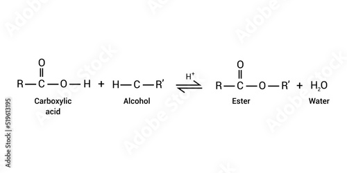 conversion of carboxylic acids to esters using acid and alcohols.