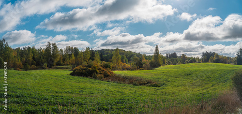 hilly fields and forests in autumn