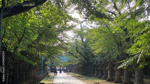 Stone ground path to the palace of Japanese shrine “Ueno Toshogu” built in year 1627, shot taken on year 2022 July 23rd, Tokyo Japan photo