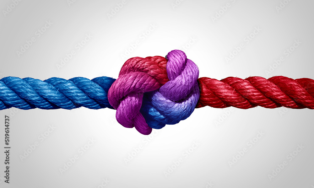 Agreement and cooperation as a bipartisan or bipartisanship trust concept and connected symbol as two different ropes combining and tied together - obrazy, fototapety, plakaty 