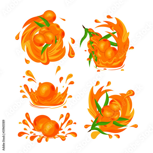 Berries and sea buckthorn oil. Splashes, drops. Vector set
