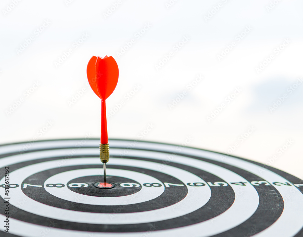 Successful business goals are like red darts. Successful business goals are like red darts.
