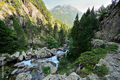 Naturaleza del Pirineo Aragonés photo