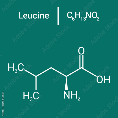 chemical structure of Leucine (C6H13NO2)