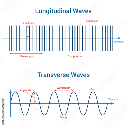 longitudinal and transverse waves. Vector illustration isolated on white background.