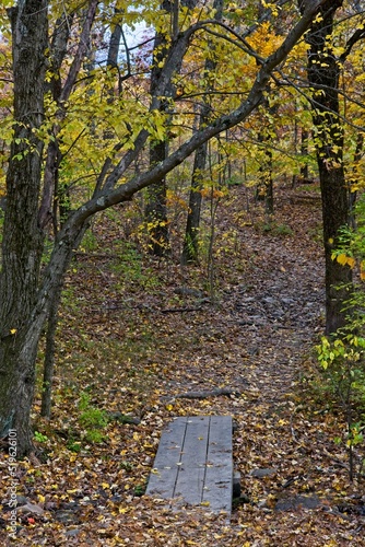 Boardwalk crossing of a slowly meandering creek along the Stevens Trail photo