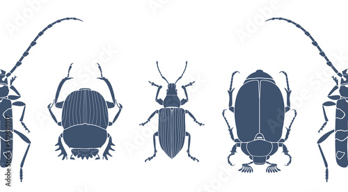 Seamless pattern of dark blue gray silhouettes of insects. Scarab beetles, cockchafer, alpine barbel and weevil. Vector illustration isolated on white background.