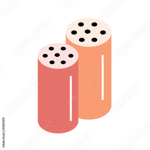 Salt and pepper. Cutlery for eating and cooking. Delicious seasoning ingredient. Flat vector illustration isolated on white background. Isometric style