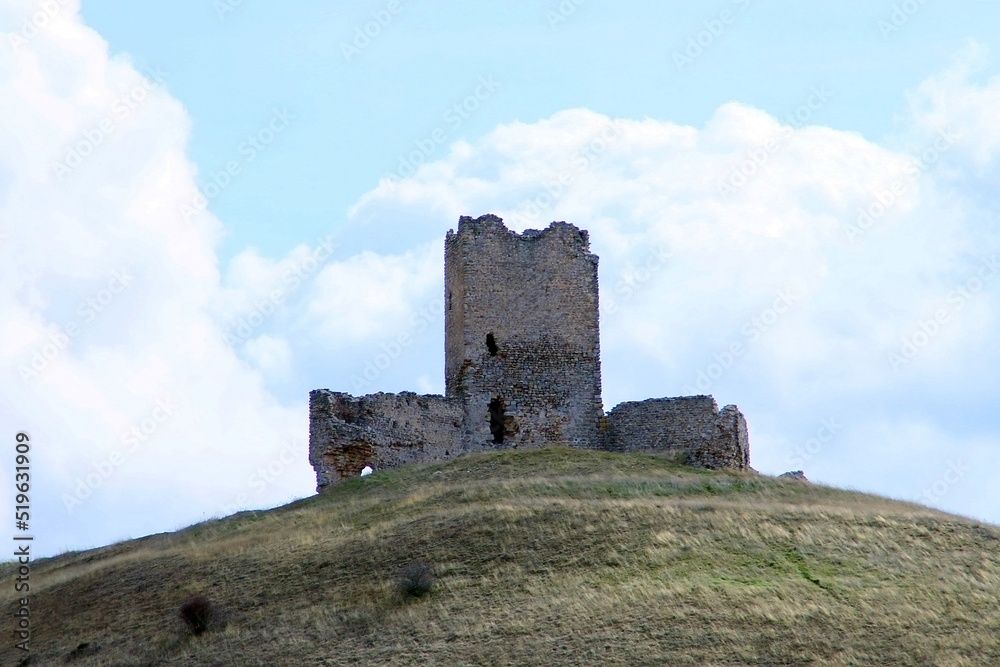 El castillo de La Torresaviñán es un complejo medieval defensivo situado en la pedanía del mismo nombre. Se levanta sobre un alto cerro y data del siglo XII. Guadalajara, España. El castillo de La Torresaviñán es un complejo medieval defensivo situado en la pedanía del mismo nombre. Se levanta sobre un alto cerro y data del siglo XII. Guadalajara, España.