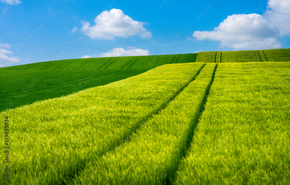 green field and blue sky green field and blue sky