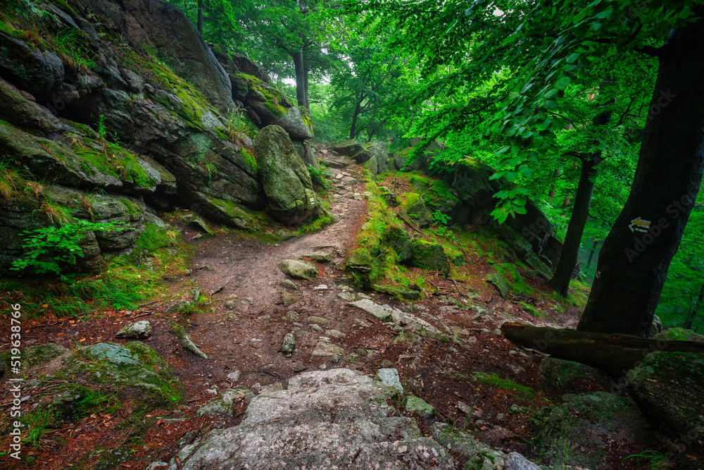 A foggy landscape of stairs from hellish Valley to Chojnik Castle in the Karkonosze Mountains. Poland A foggy landscape of stairs from hellish Valley to Chojnik Castle in the Karkonosze Mountains. Poland