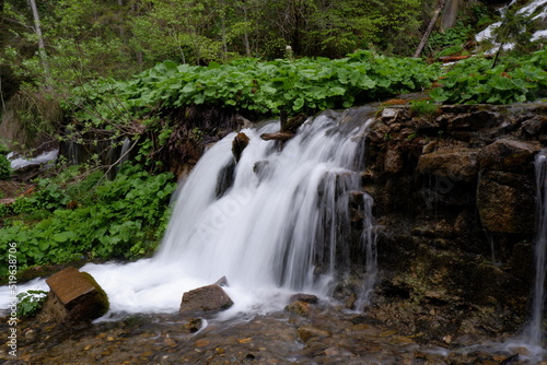a long-exposure waterfall surrounded by greenery