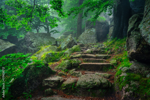 A foggy landscape of stairs from hellish Valley to Chojnik Castle in the Karkonosze Mountains. Poland © Patryk Kosmider