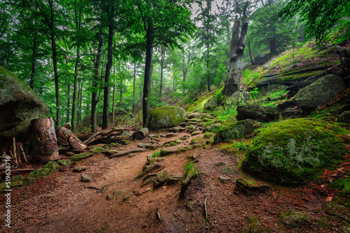 A foggy landscape of stairs from hellish Valley to Chojnik Castle in the Karkonosze Mountains. Poland