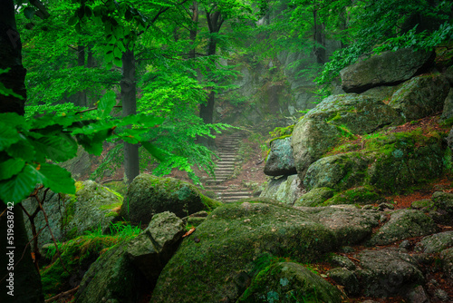 A foggy landscape of stairs from hellish Valley to Chojnik Castle in the Karkonosze Mountains. Poland