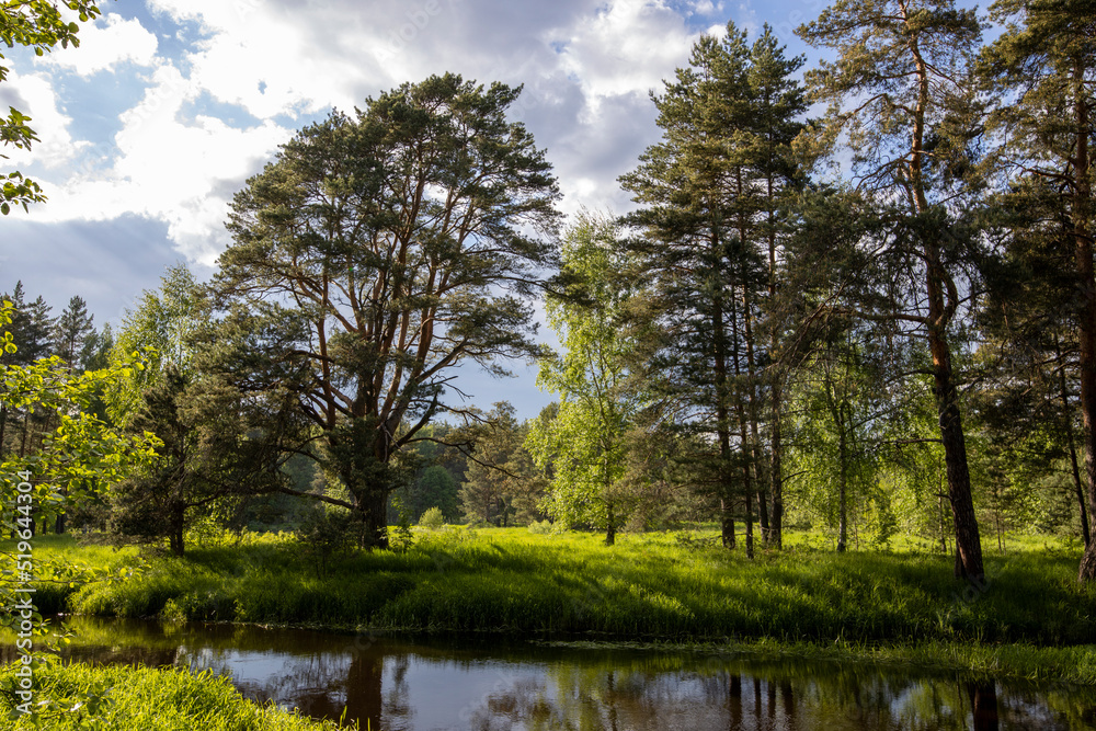 Bright sunny landscape near the river. The sun's rays illuminate the young greens. Bright sunny landscape near the river. The sun's rays illuminate the young greens.